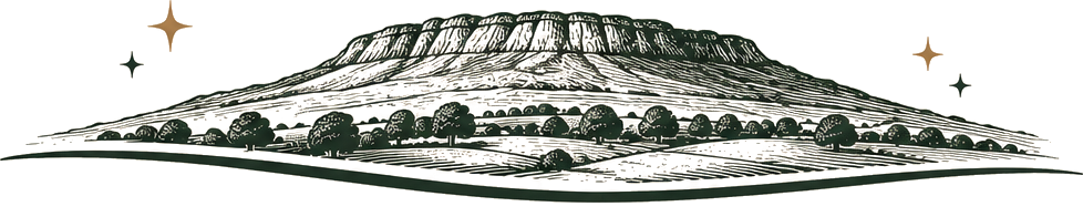 Handgraverad illustration av berget Ålleberg i Falköping